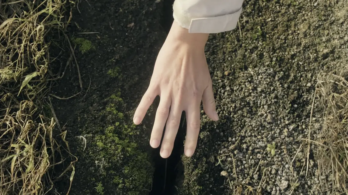 Why something feels missing: a hand reaching down to touch moss and earth in soft light